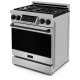Thor Kitchen Gordon Ramsay 30 inch Stainless Steel Propane Gas Range (RSG30LP-BLK)