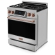 Thor Kitchen RSG30LP-RSG