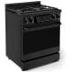 Thor Kitchen RSG30PB