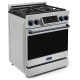 Thor Kitchen RSG30-RSG