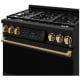 Thor Kitchen Gordon Ramsay 36 inch Range (RSG36B-BRZ)