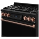 Thor Kitchen Gordon Ramsay 36 inch Propane Gas Range (RSG36BLP-RSG)