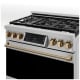 Thor Kitchen RSG36LP-BRZ