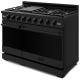 Thor Kitchen RSG48EBLP