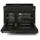 Thor Kitchen RSG48EBLP
