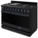 Thor Kitchen Gordon Ramsay 48 inch Black Propane Gas Range (RSG48EBLP-BLU)