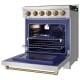 Thor Kitchen 30 inch Stainless Steel Gas Range (RSG30P-BRZ)