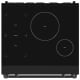 Thor Kitchen 30 inch Induction Range (RSI30B-BLK)