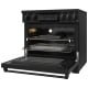 Thor Kitchen 36 inch Black Induction Range (RSI36B)