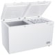 Congélateur Coffre Horizontal TruArctic THFC1656W