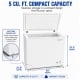 TruArctic 5 cu. ft. Chest Freezer (THFC5028W)
