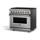 Viking 36 inch Stainless Steel Dual Fuel Range (CVDR5366BSS)