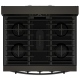 Whirlpool WFGS5030RV