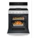 Whirlpool WFGS7530RW