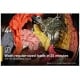 Whirlpool WFW6605MC