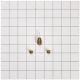 Accessoires petit electromenager Whirlpool 49572A