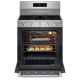 Maytag 30 inch Gas Range (MFGS6030RZ)