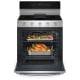 Whirlpool 30 inch Range (WFGS7530RZ)