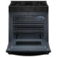 Whirlpool 30 inch Range (WSGS3330TB)
