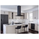 Zephyr ZRE-E42ABSGG Range Hood