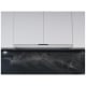 Zephyr Stainless Steel Range Hood (ZPI-E30BG)