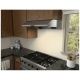 Zephyr Stainless Steel Range Hood (AK2100BS)