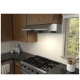 Zephyr Stainless Steel Range Hood (AK2136BS)