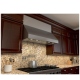 Zephyr Stainless Steel Cabinet Insert (AK7542BS)