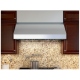 Zephyr AK7542BS Cabinet Insert