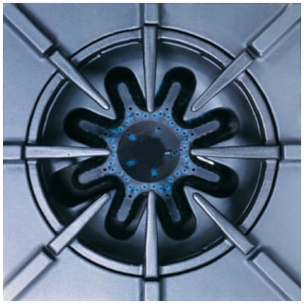 bluestar stove top