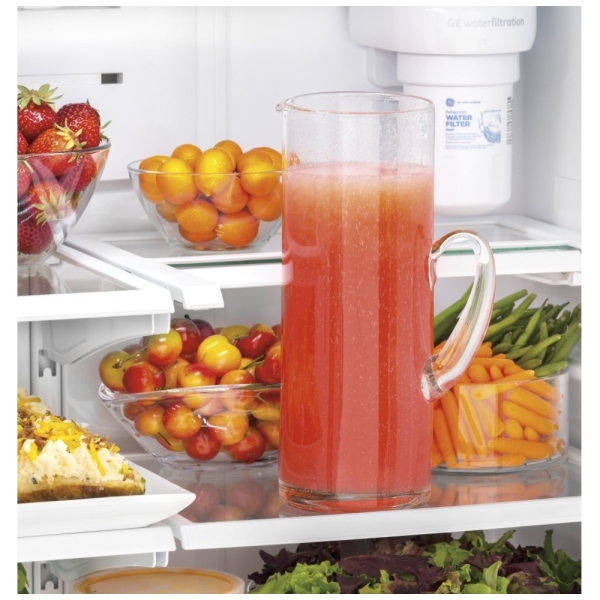 GWE19JSLSS GE Refrigerator Canada Best Price, Reviews and Specs