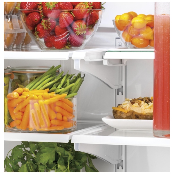 GWE19JSLSS GE Refrigerator Canada Best Price, Reviews and Specs