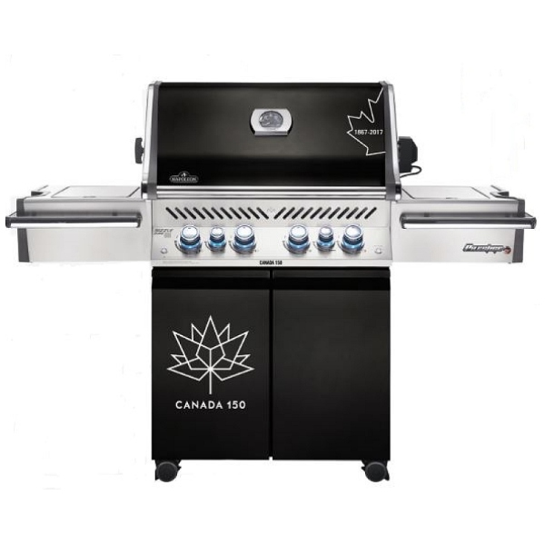 Napoleon barbecue canada Grill da terrazza